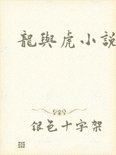 龙与虎小说