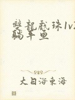 双龙戏珠1v2躺平鱼