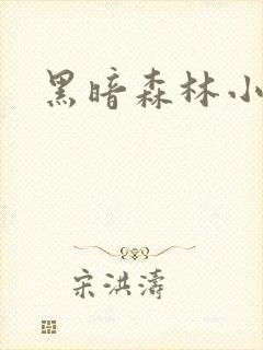 黑暗森林小说