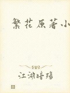 繁花原著小说