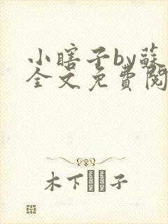 小瞎子by苏软全文免费阅读