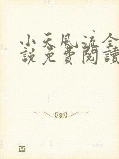 小天风流全集小说免费阅读