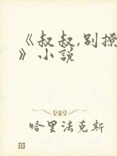 《叔叔,别撩我》小说