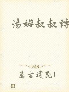 汤姆叔叔转接口