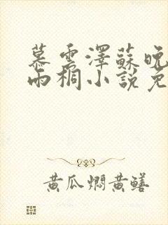 慕云泽苏晚晴夏雨桐小说免费阅读