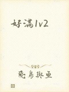 好满1v2