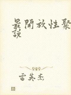 最开放性聚会小说