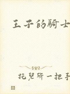 王子的骑士小说