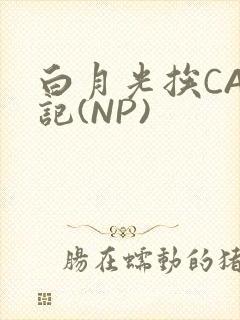 白月光挨CAO记(NP)