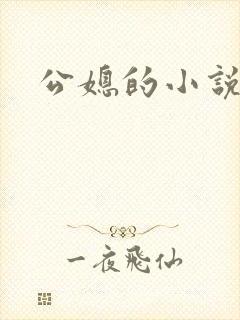 公媳的小说