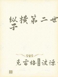 纵横第二世界宽子
