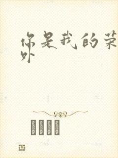 你是我的荣耀番外