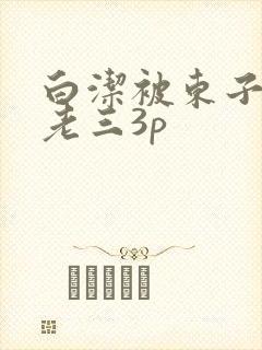 白洁被东子老二老三3p