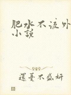 肥水不流外人田小说