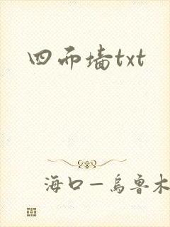 四面墙txt