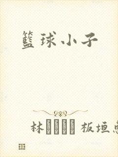 篮球小子