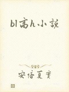 bl高h小说