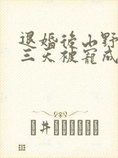 退婚后山野糙汉三天被宠成宝小说