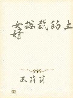 女总裁的上门女婿