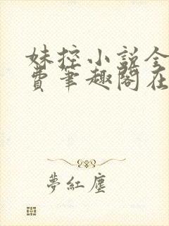 妹控小说全文免费笔趣阁在线阅读