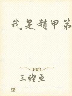 我是赵甲第小说