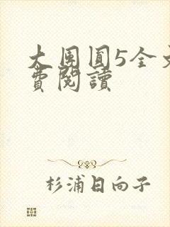 大团圆5全文免费阅读