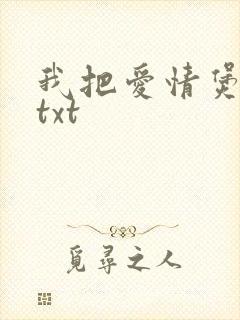我把爱情煲成汤txt