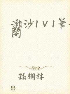 潮沙1∨1笔趣阁