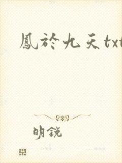 凤于九天txt