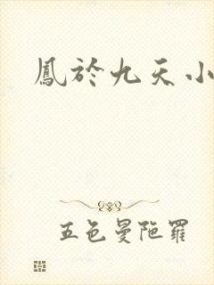 凤于九天小说
