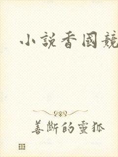 小说香国竞艳
