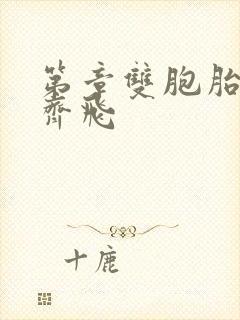 第章双胞胎姐妹齐飞