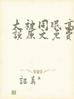 大被同眠高粱小说原文免费阅读