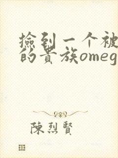 捡到一个被抹布的贵族omega