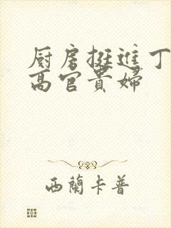 厨房挺进丁字裤高官贵妇