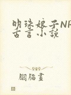 明珠娘子NPC古言小说