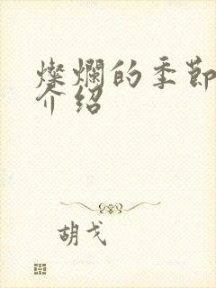 灿烂的季节剧情介绍