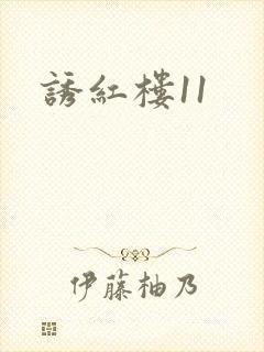 诱红楼11