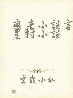 恋老小说言情网农村小说