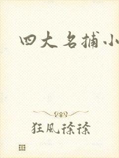 四大名捕小说