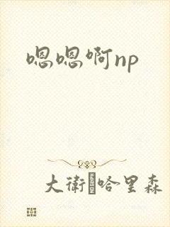 嗯嗯啊np