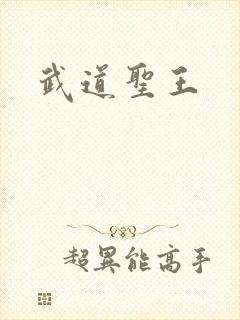 武道圣王