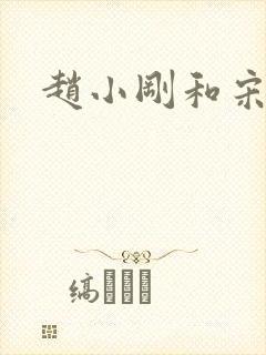 赵小刚和宋雨晴