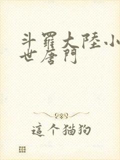 斗罗大陆小说绝世唐门