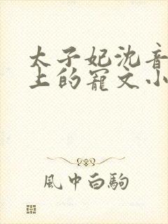 太子妃沈音和皇上的宠文小说