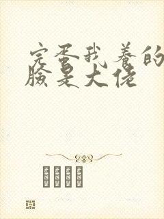 完蛋我养的小白脸是大佬