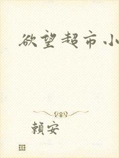 欲望超市小说