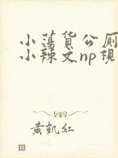 小荡货公厕h文小辣文np视频