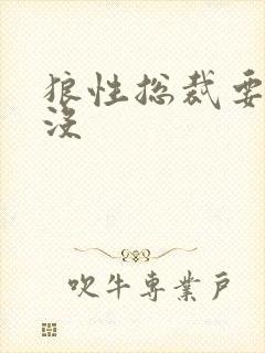 狼性总裁要够了没