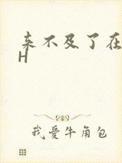 来不及了在车CH